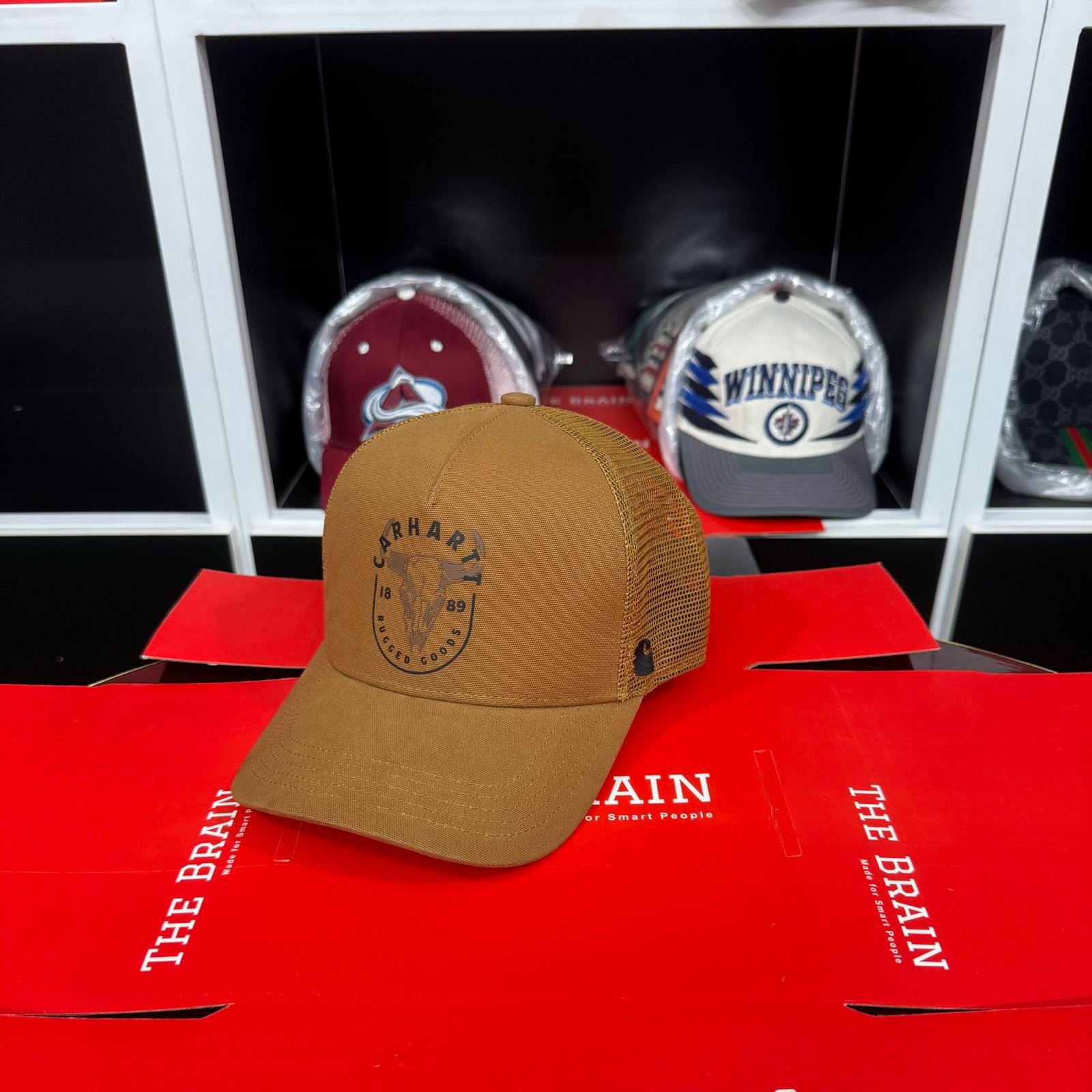Carhartt Canvas Mesh-Back Graphic Logo Cap (Snapback) view 2