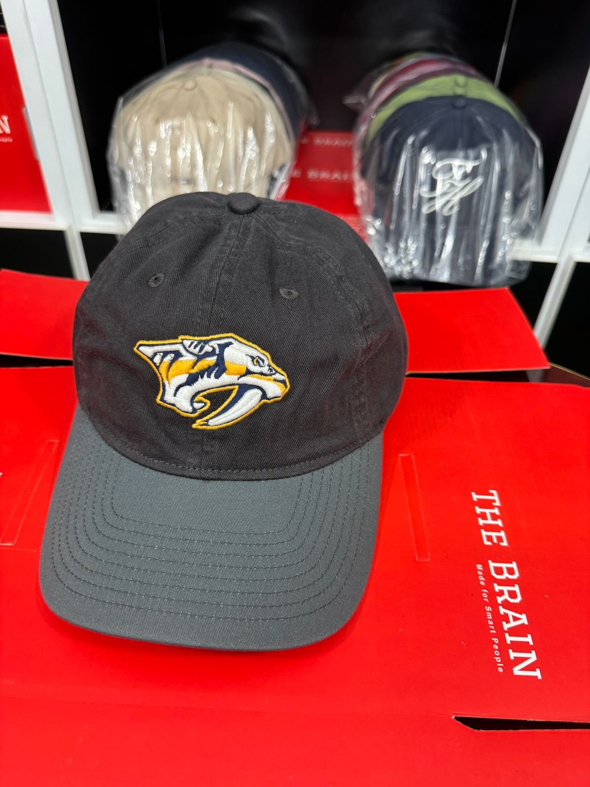 Zephyr Embroidered Logo Adjustable Baseball Cap view 2