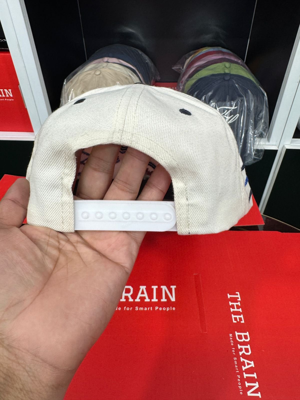 Zephyr “Winnipeg” Embroidered Snapback Cap view 3