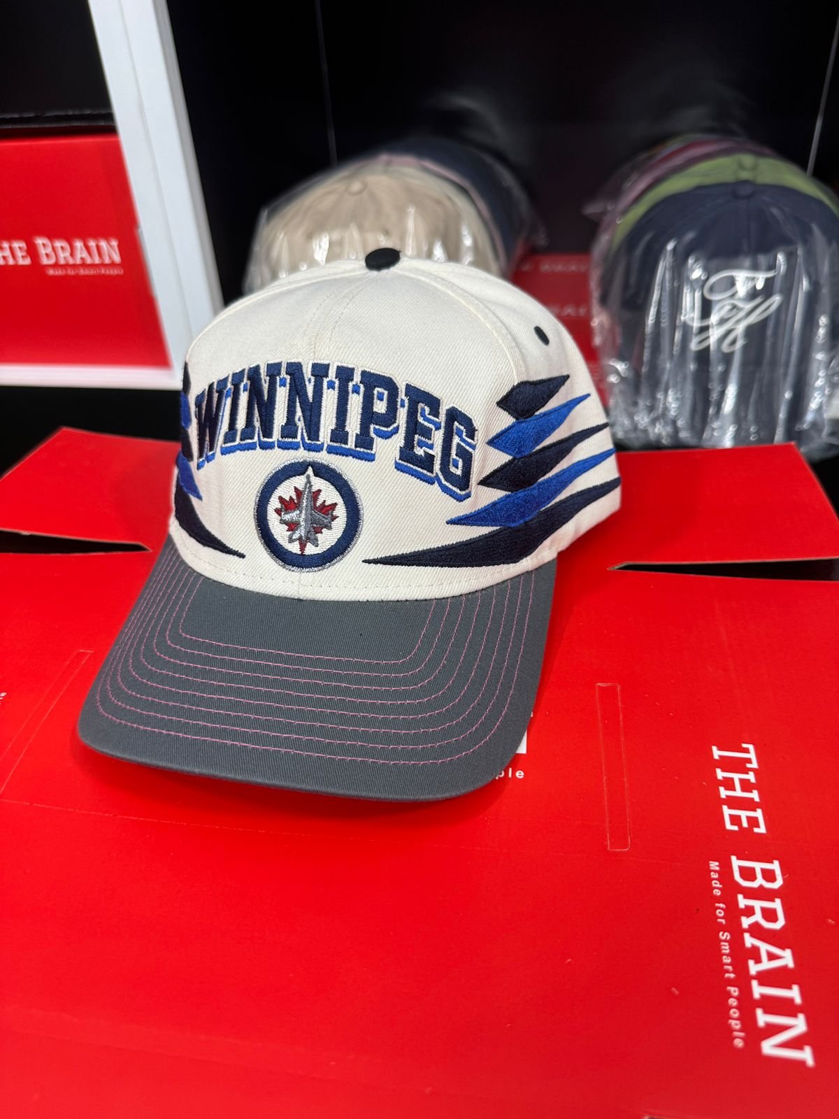 Zephyr “Winnipeg” Embroidered Snapback Cap view 2