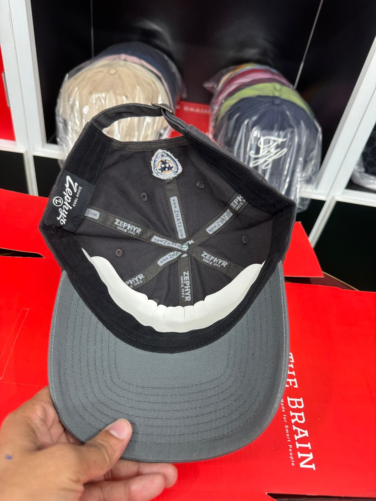 Zephyr Embroidered Logo Adjustable Baseball Cap view 4