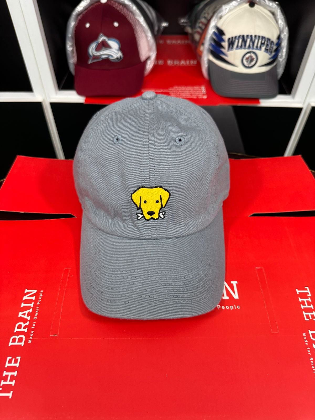 Life is Good Embroidered Dog Icon Adjustable Baseball Cap view 2