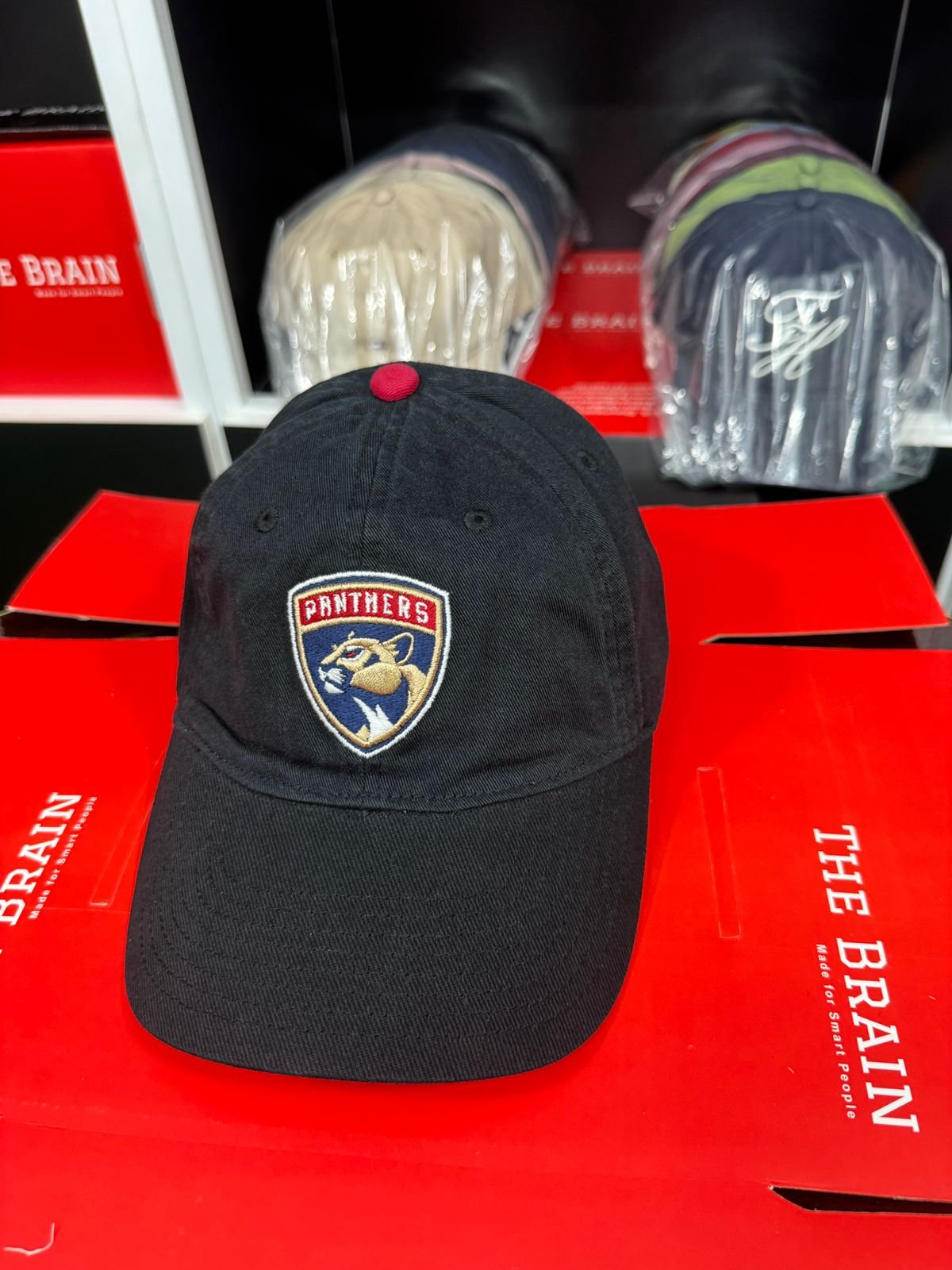 Zephyr “Panthers” Embroidered Baseball Cap view 4