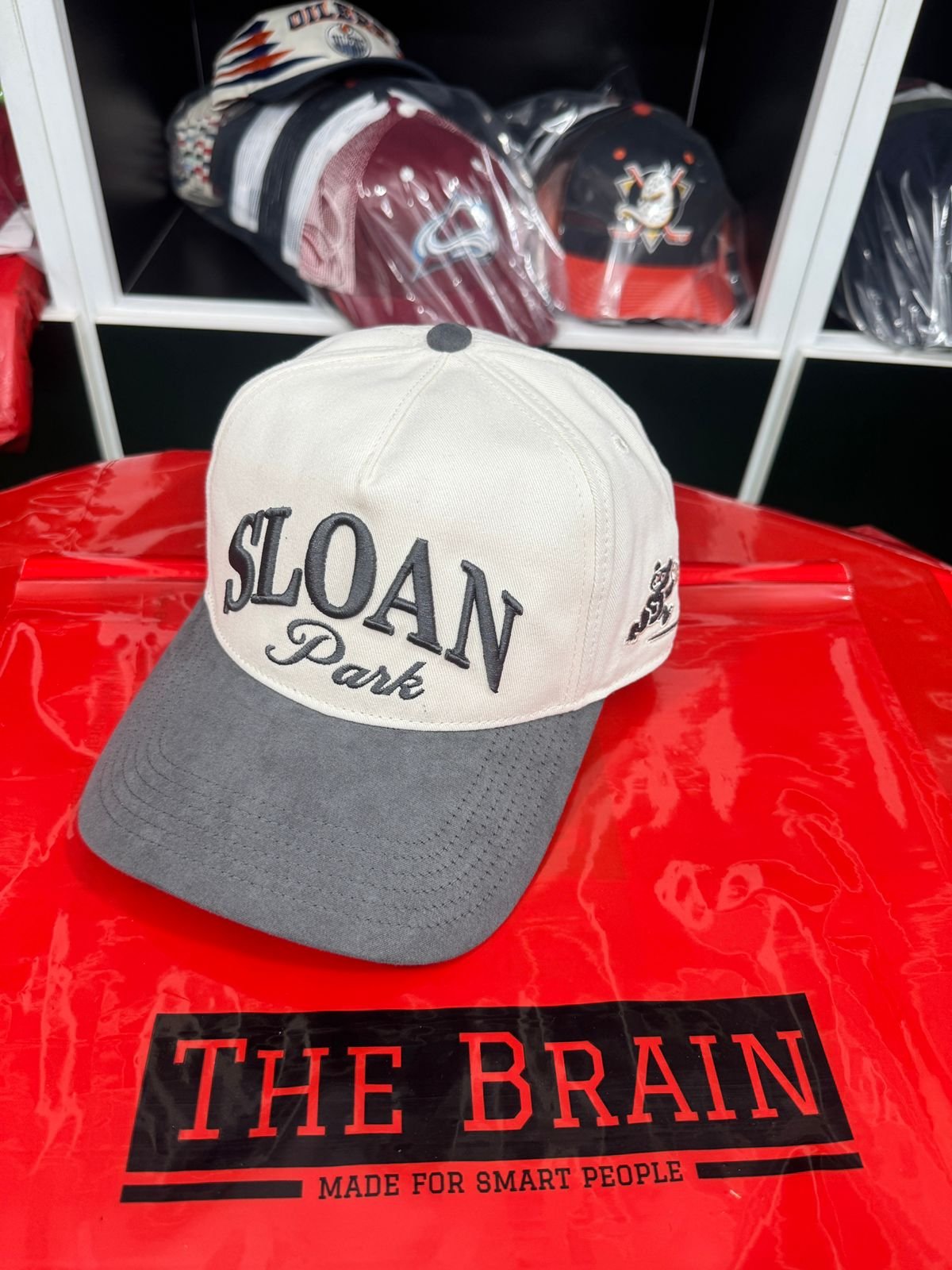 Sloan Park Two-Tone Curved Brim Cap view 4