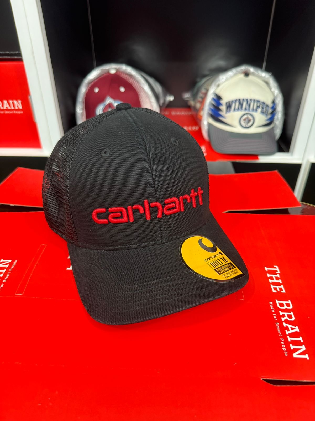 Carhartt Canvas Mesh-Back Logo Trucker Cap (Snapback) view 2