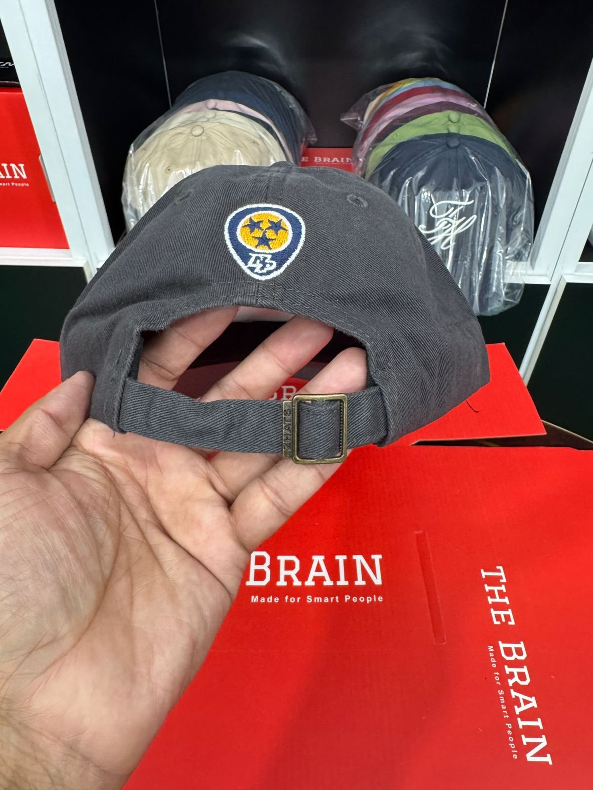 Zephyr Embroidered Logo Adjustable Baseball Cap view 3