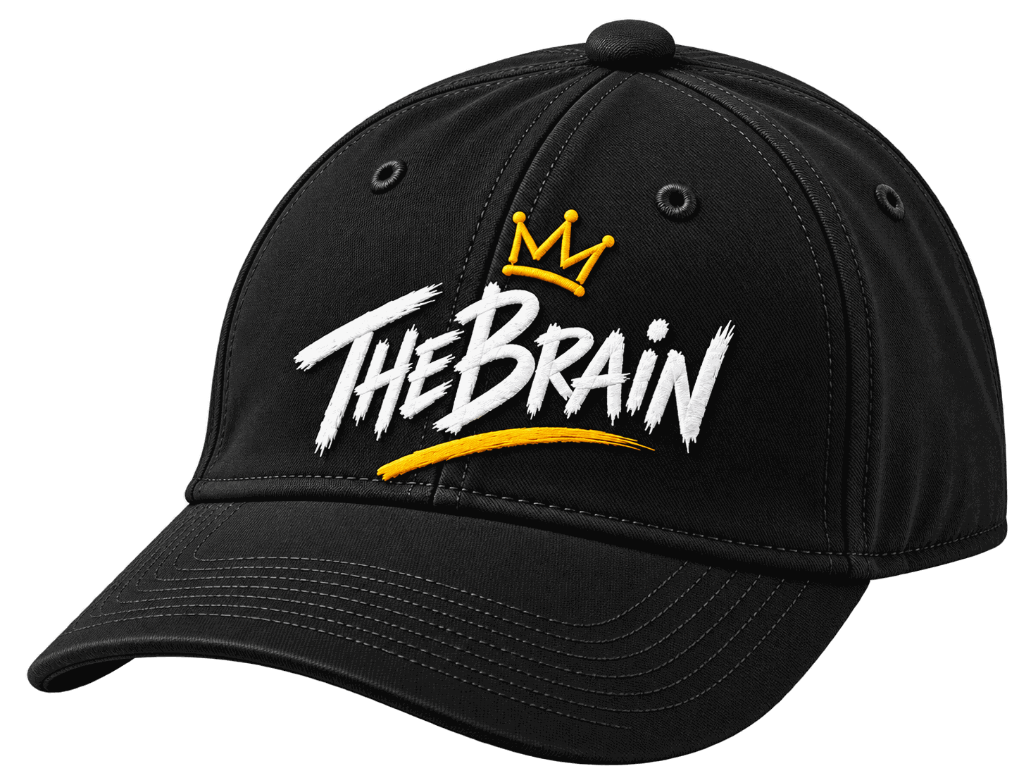 The Brain Manufactured Caps  (Black) view 2