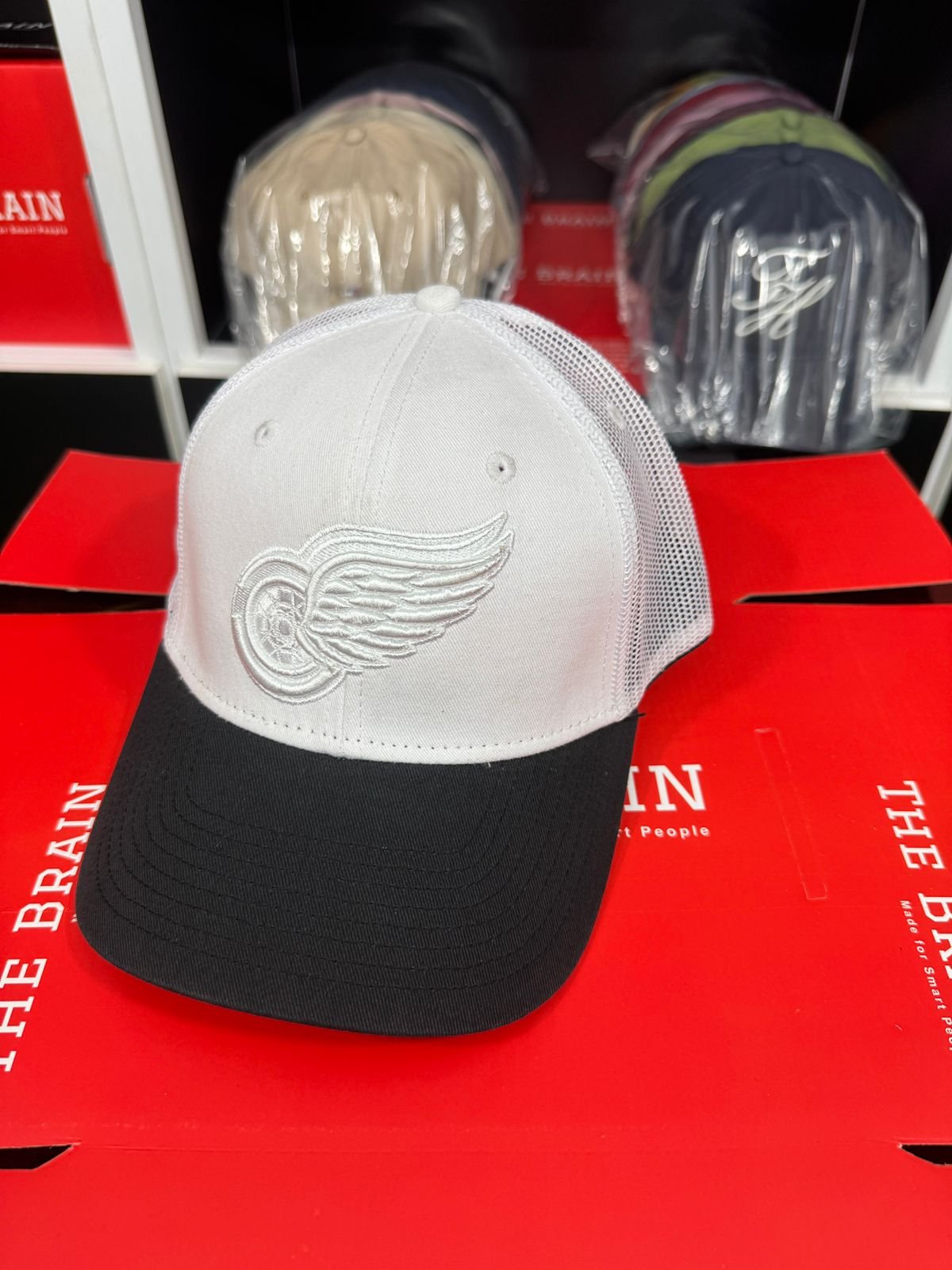 Detroit Red Wings Embroidered Trucker Cap (Mesh Snapback) view 2